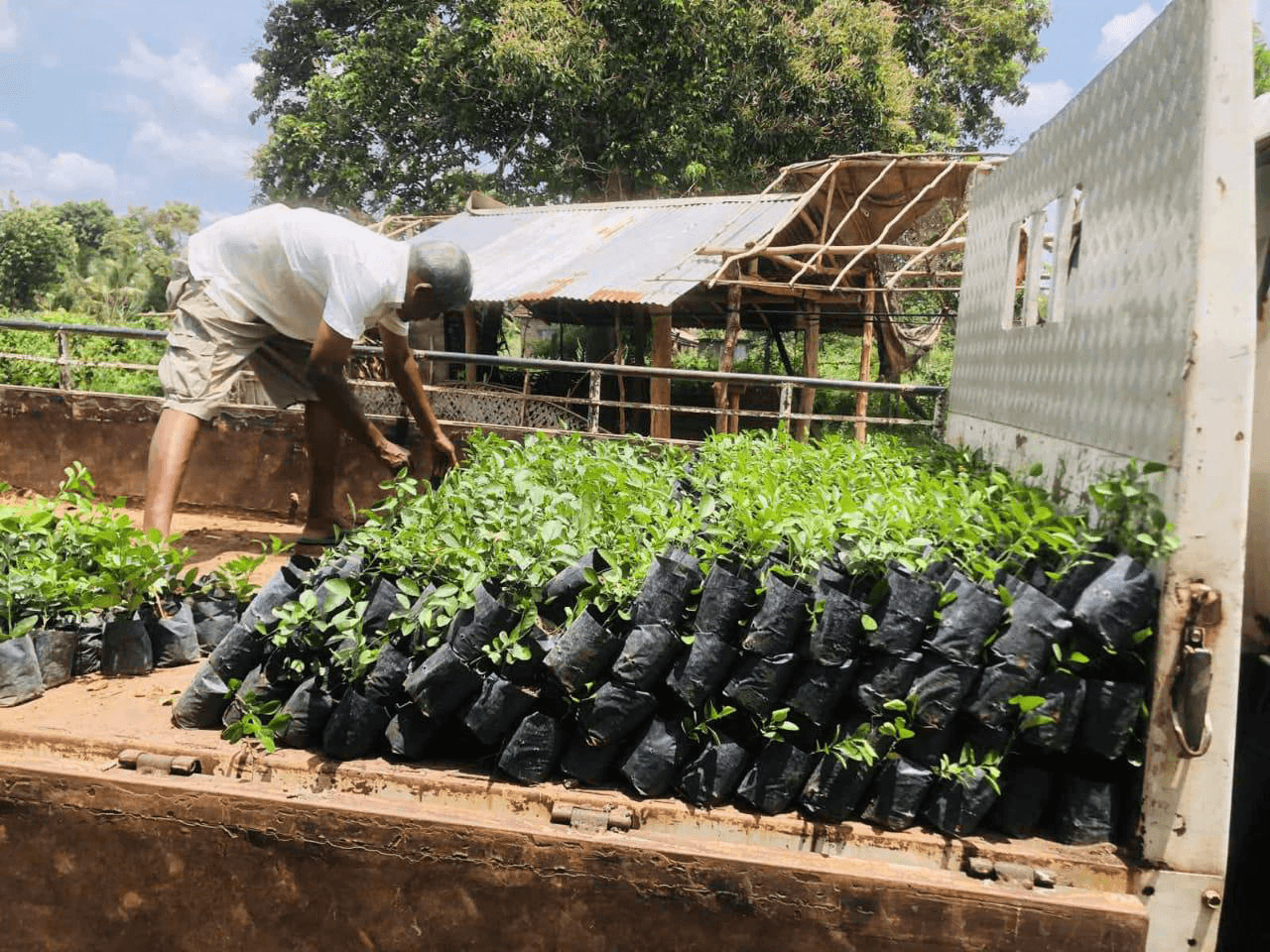 Community agriculture work
